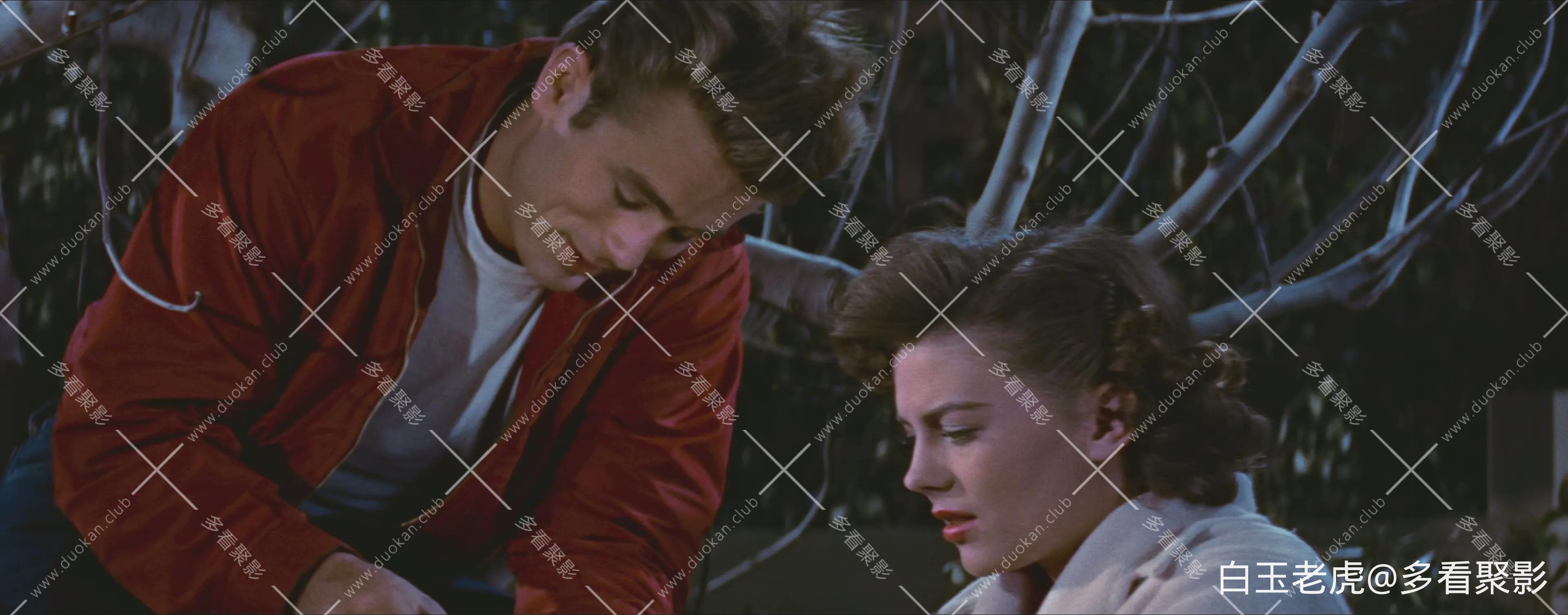 Rebel.Without.A.Cause.1955.2160p.4K.BluRay.x265.10bit.AAC5.1.2Audio-[YTS.MX] [by.webp