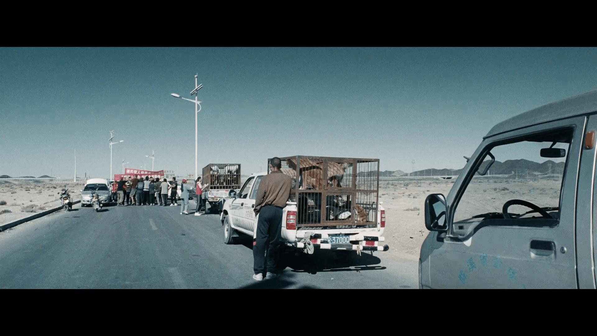 狗阵(2024)-法版原盘Remux-国语-内挂软字幕_34-20 (1).png