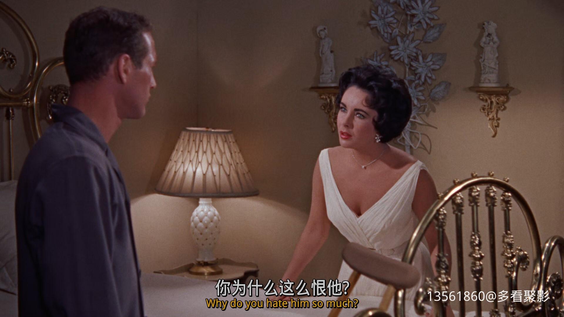 热铁皮屋顶上的猫Cat on a Hot-00_31_46-2025_12_26_09_48_21.jpg