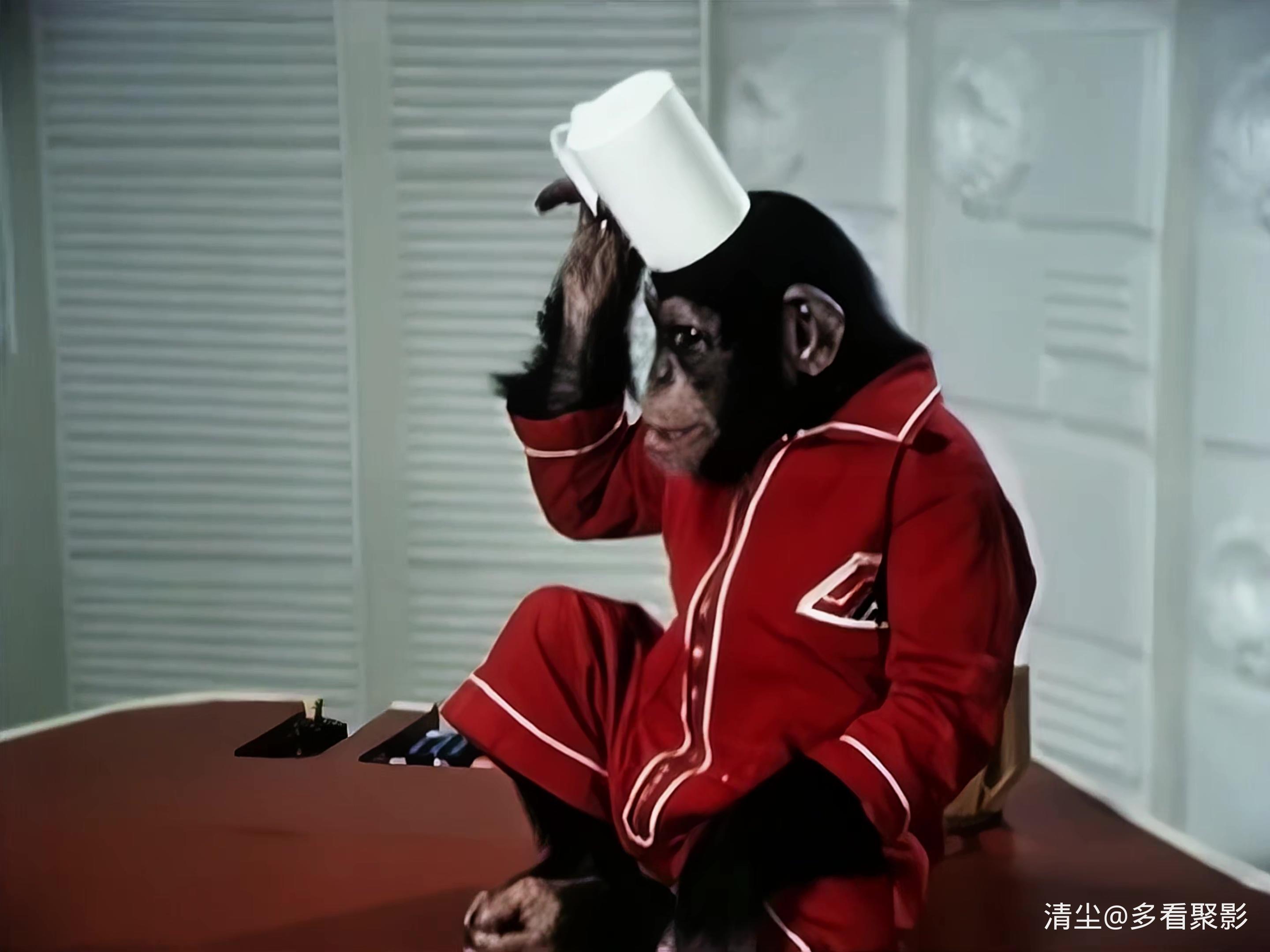 07 猴子生意 Monkey Business.mp4_20251228_115214.706.jpg