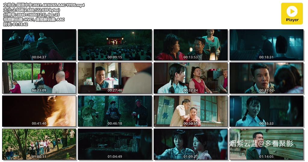 国语中字.2021.4K.H265.AAC-YYDS.mp4.jpg