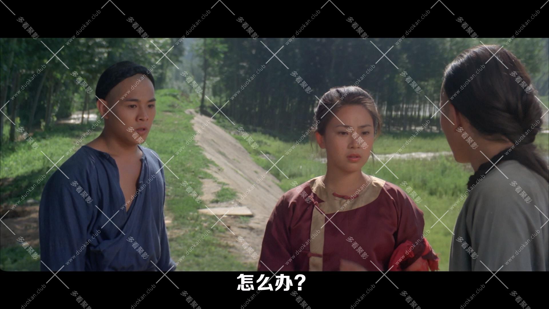 南北少林.1986.mkv_004443.110.jpg