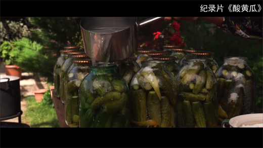 记录片酸黄瓜[00_26_16][20260109-144354].png