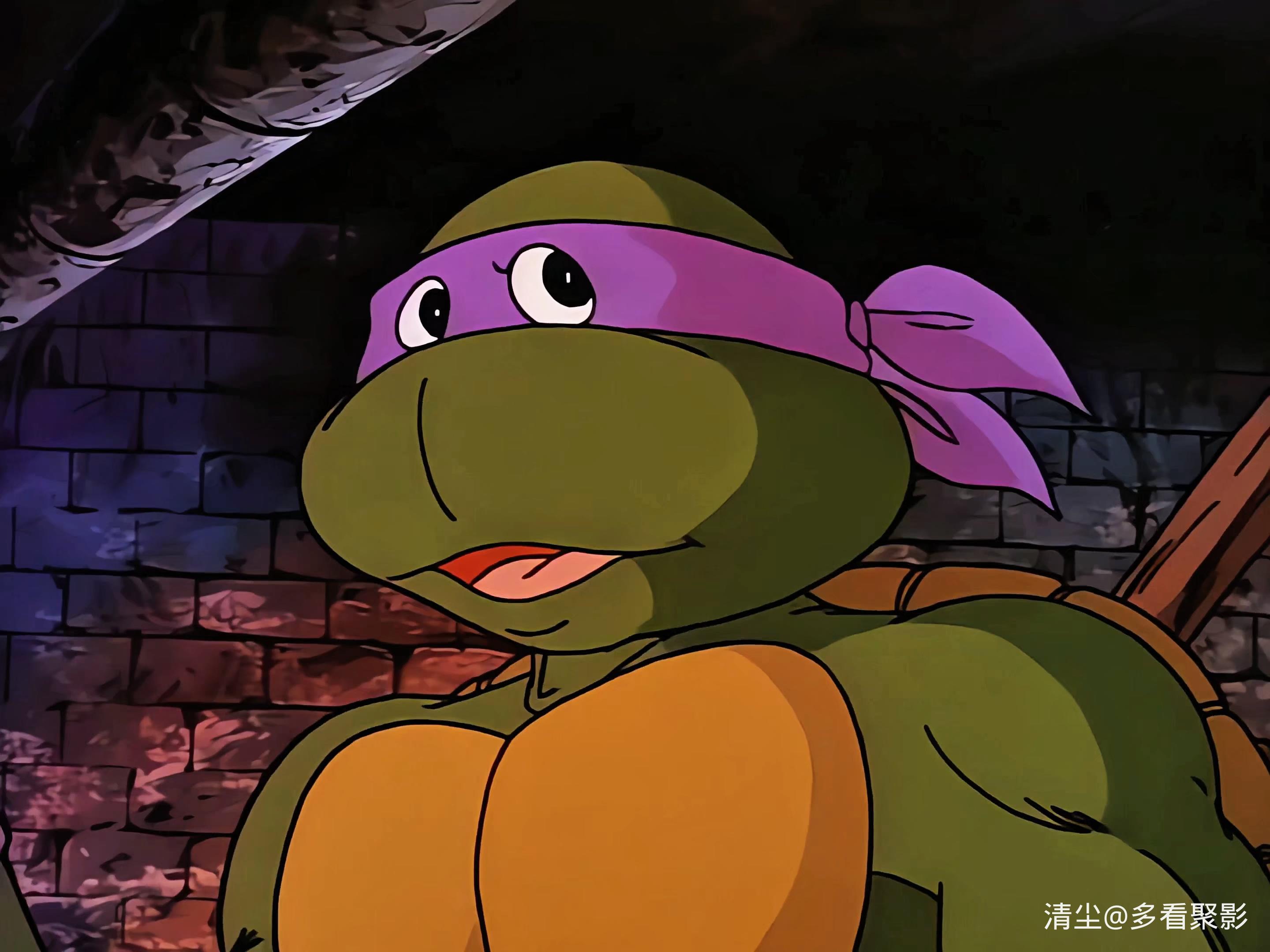 S01 E01 乌龟的足迹.mkv_20260109_164311.954.jpg