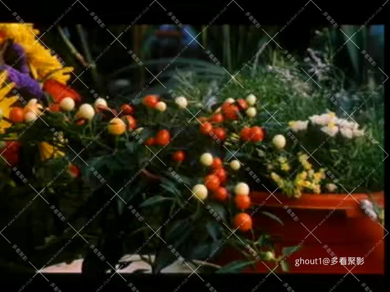 冬冬的故事.mp4_002010.708.jpg