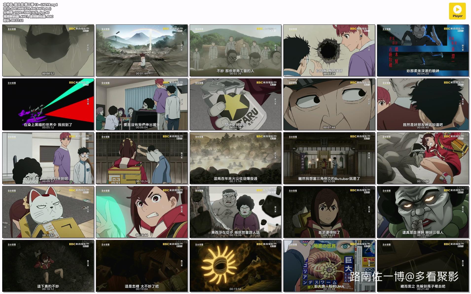 胆大党 第二季 13 - LNZYB.mp4.jpg