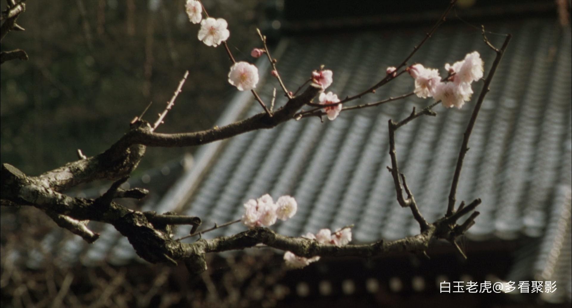 隐剑鬼爪.The.Hidden.Blade.2004.BluRay.1080p.x265.10bit.AC3.5.1.2Audio-MiniHD-byl.jpg