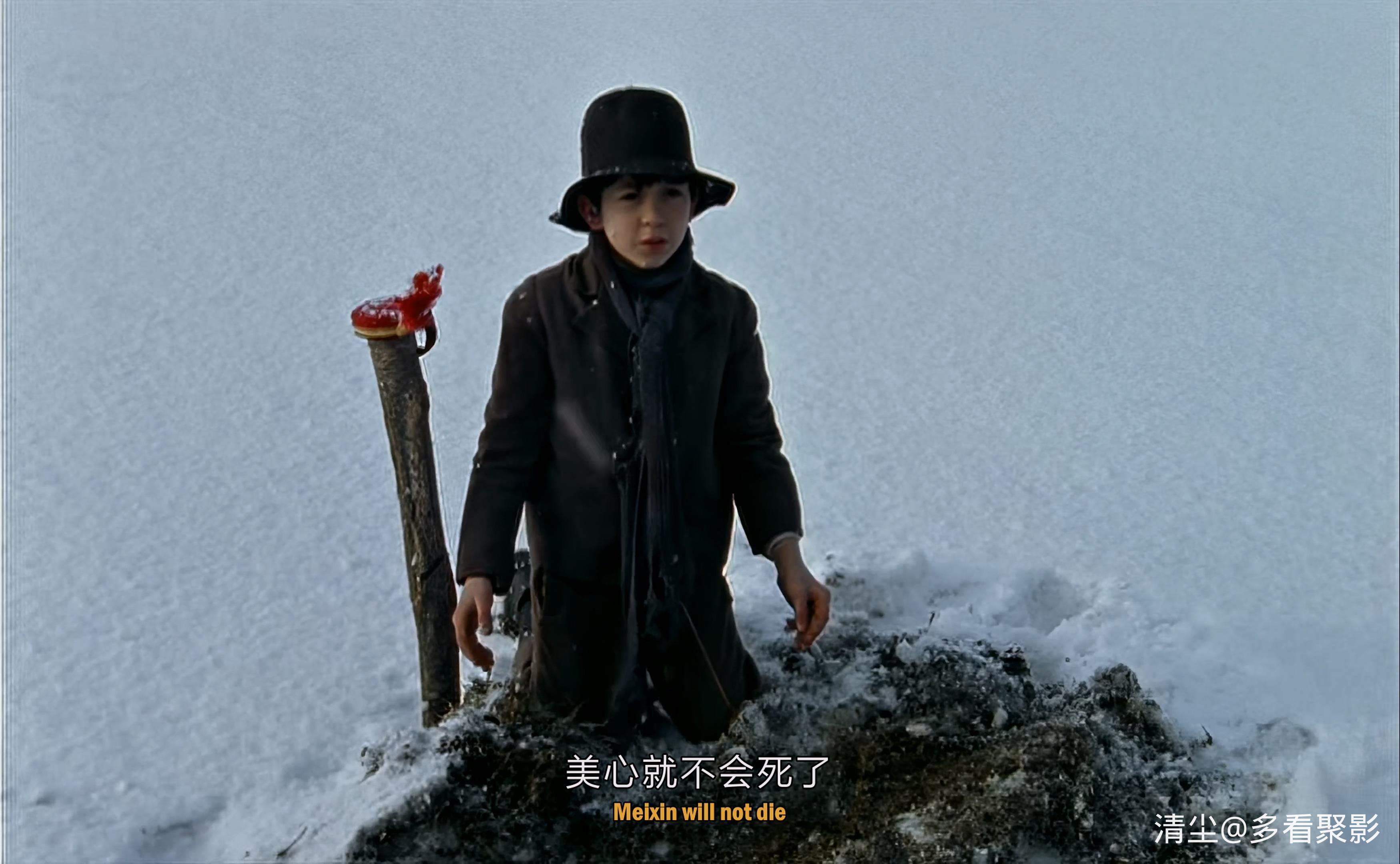 2000 苦儿流浪记 sans.famille.mkv_20260207_120933.295.jpg