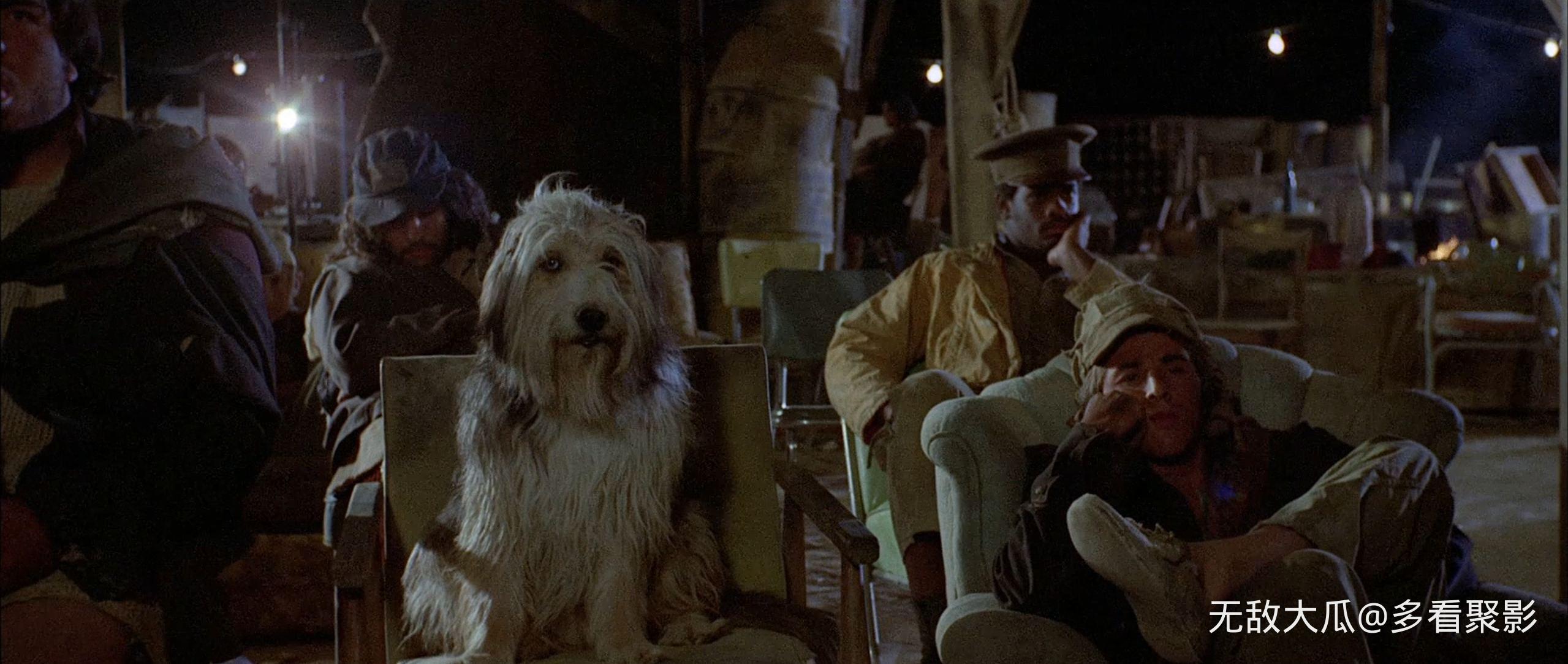 屏幕截图 2026-02-21 235212.jpg