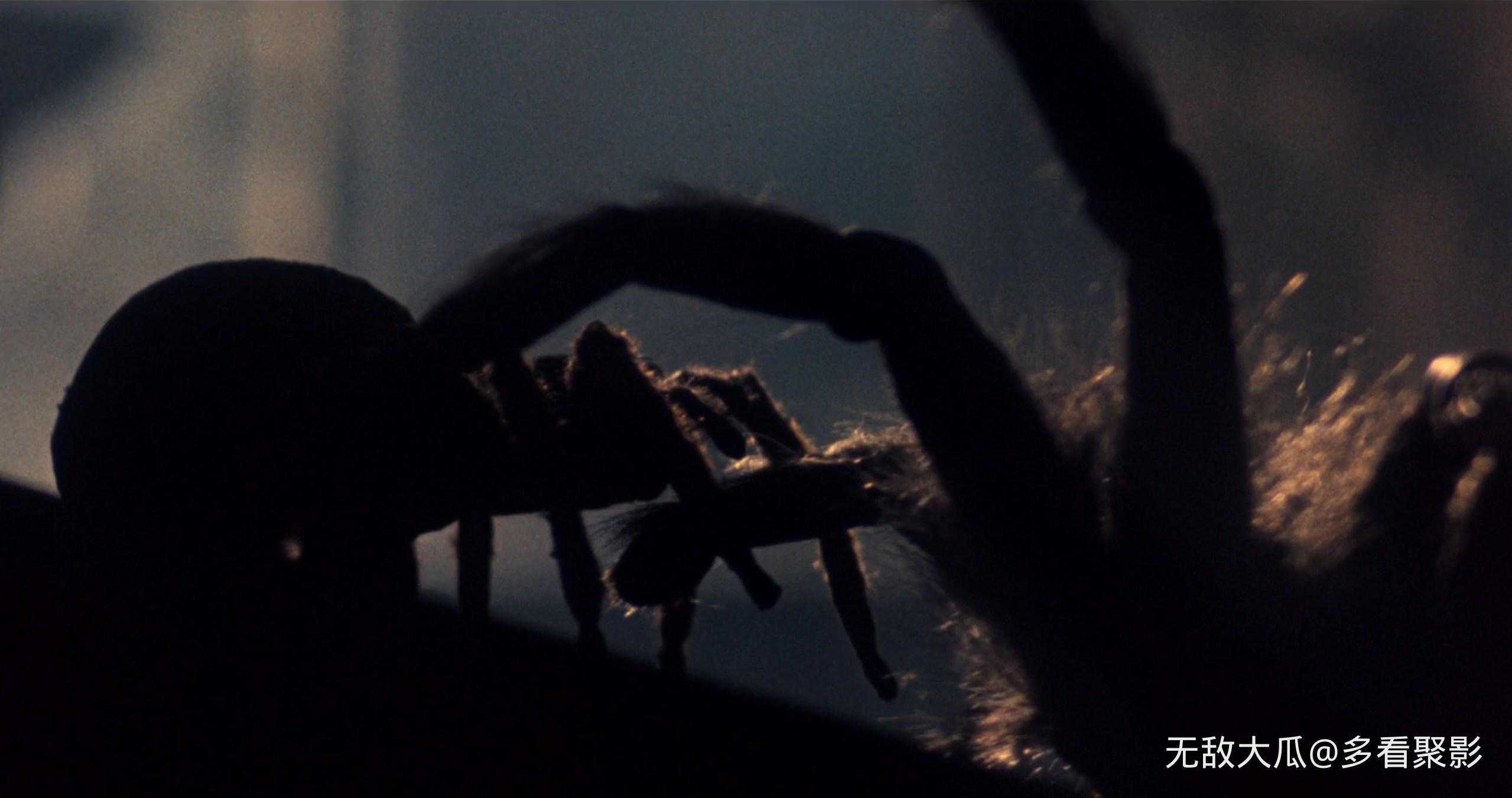 屏幕截图 2026-02-23 120257.jpg