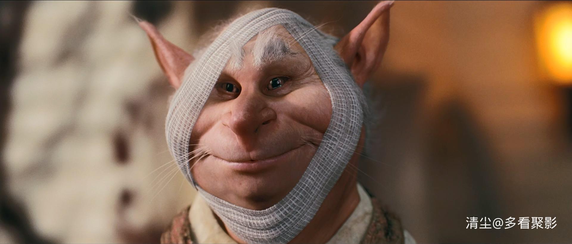 2008 奇幻精灵事件簿 The Spiderwick Chronicles.mkv_20260227_164947.680.jpg