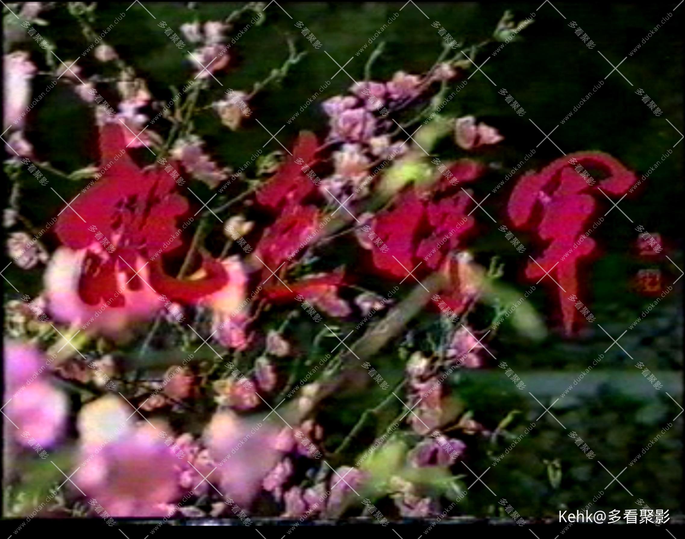 截屏2026-03-01 18.38.39.jpeg