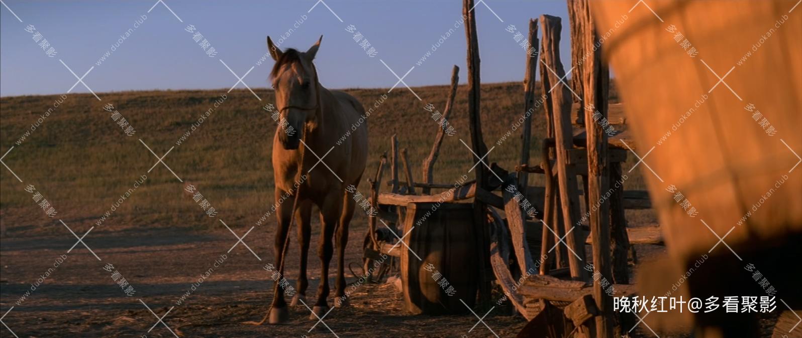 Dances.With.Wolves.1990.BluRay.1080p.x265.10bit.3Audio-MiniHD.mkv_20260305_135247.385.jpg