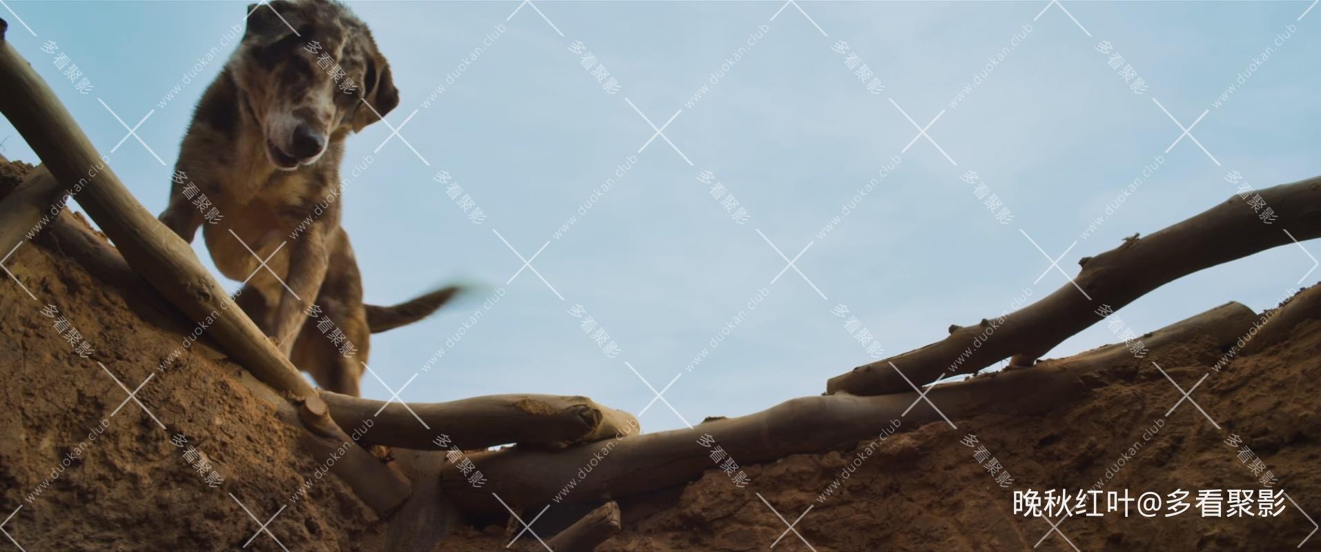 The.Water.Diviner.2014.BluRay.1080p.DTS-HDMA.5.1.x265.10bit-Xiaomi.mkv_20260309_.jpg