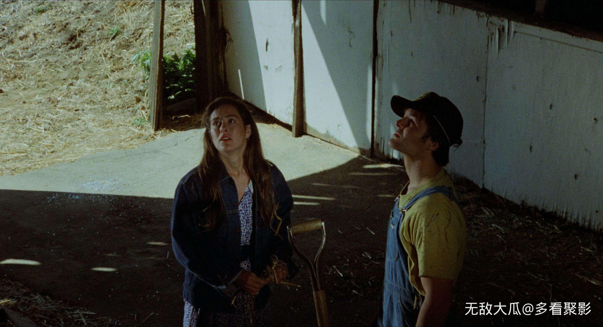 屏幕截图 2026-03-12 002900.jpg