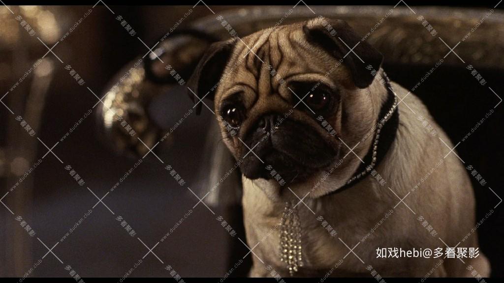 102真狗 102 Dalmatians (2000).mkv_20260311_221102.139.jpg