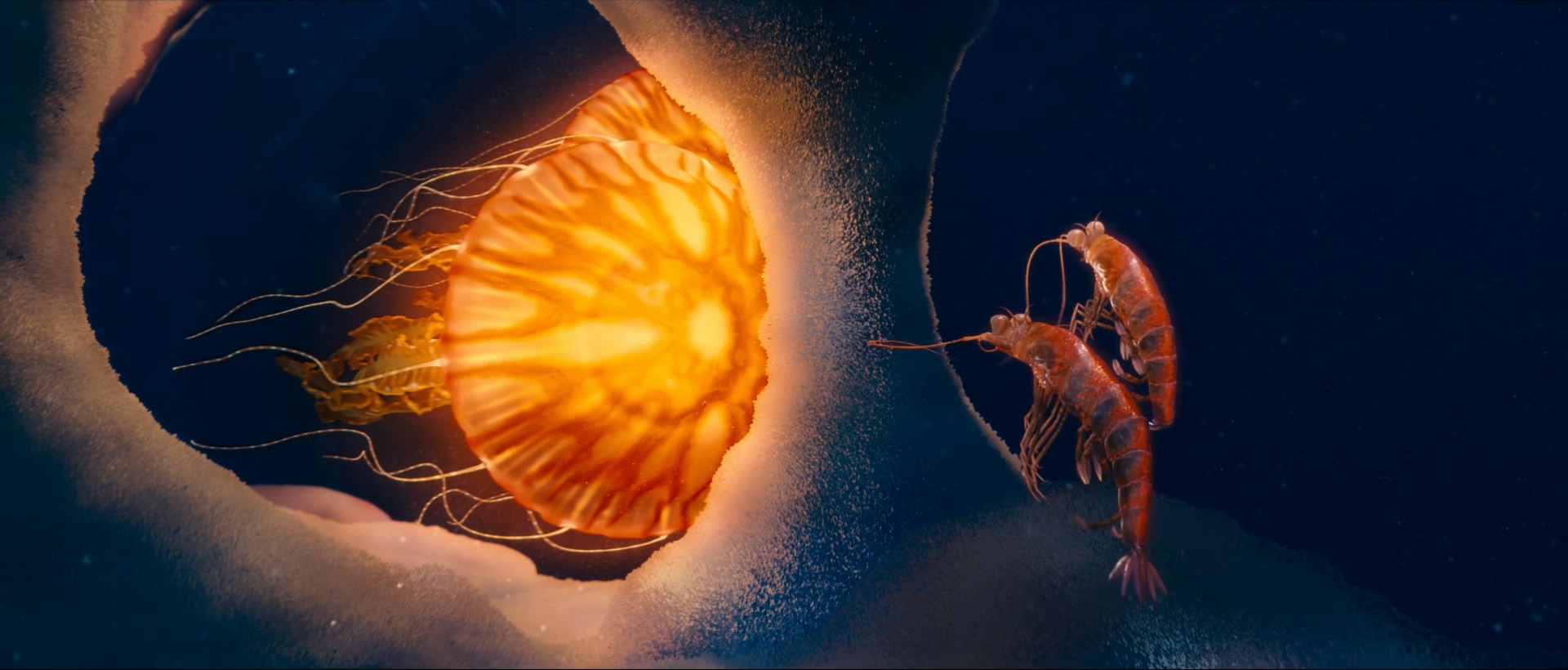 2011 快乐的大脚2 Happy Feet Two .mkv_20260316_173233.071.jpg