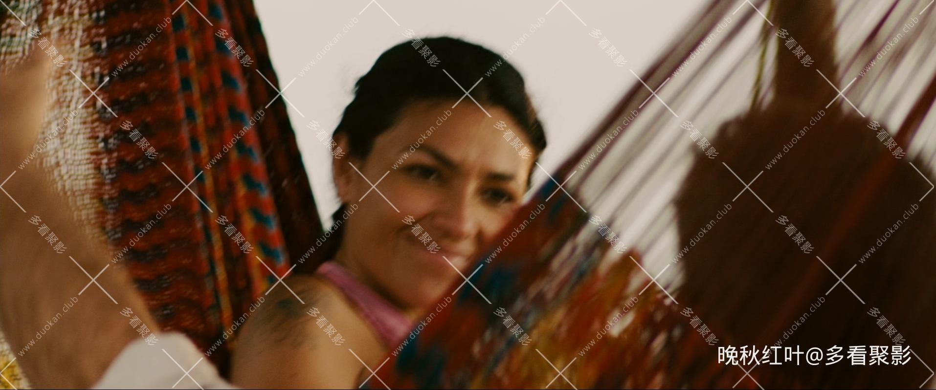 Get.the.Gringo.2012.1080p.BluRay.DTS.x265-10bit-TAGHD.mkv_20260319_105834.242.jpg