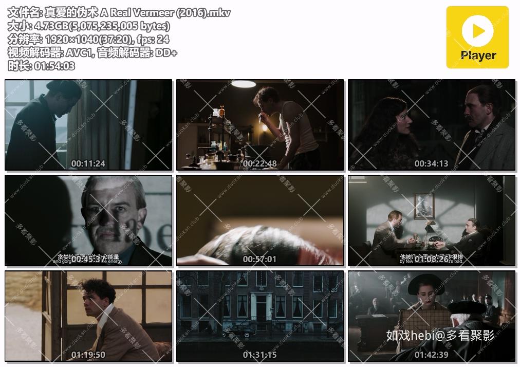 真爱的伪术 A Real Vermeer (2016).mkv.jpg