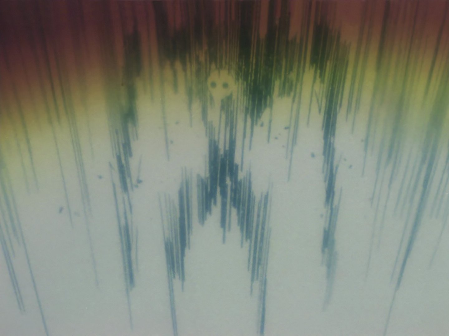 S01E01.mkv_000524.658.png