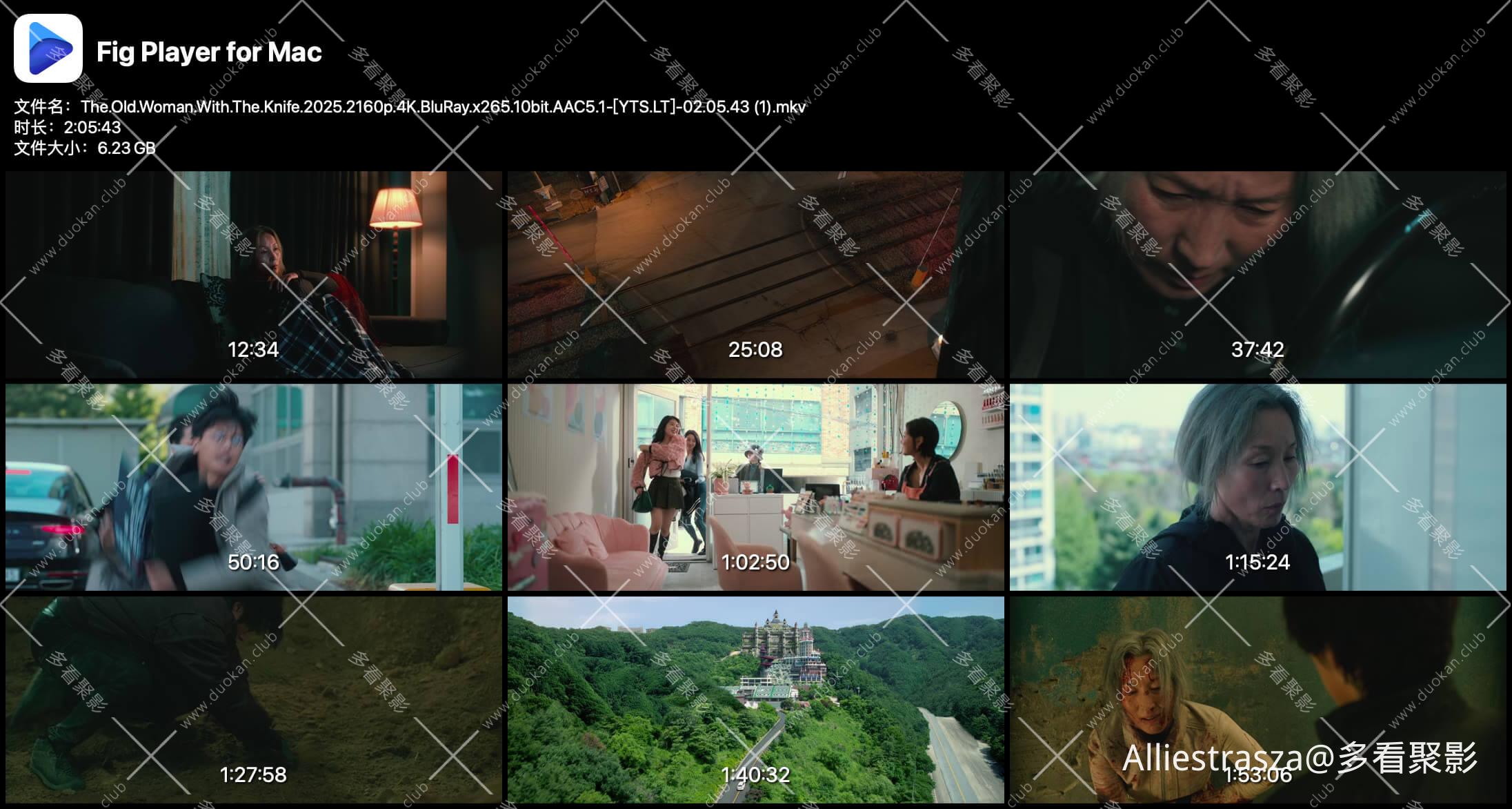 The.Old.Woman.With.The.Knife.2025.2160p.4K.BluRay.x265.10bit.AAC5.1-[YTS.LT]-02..jpg