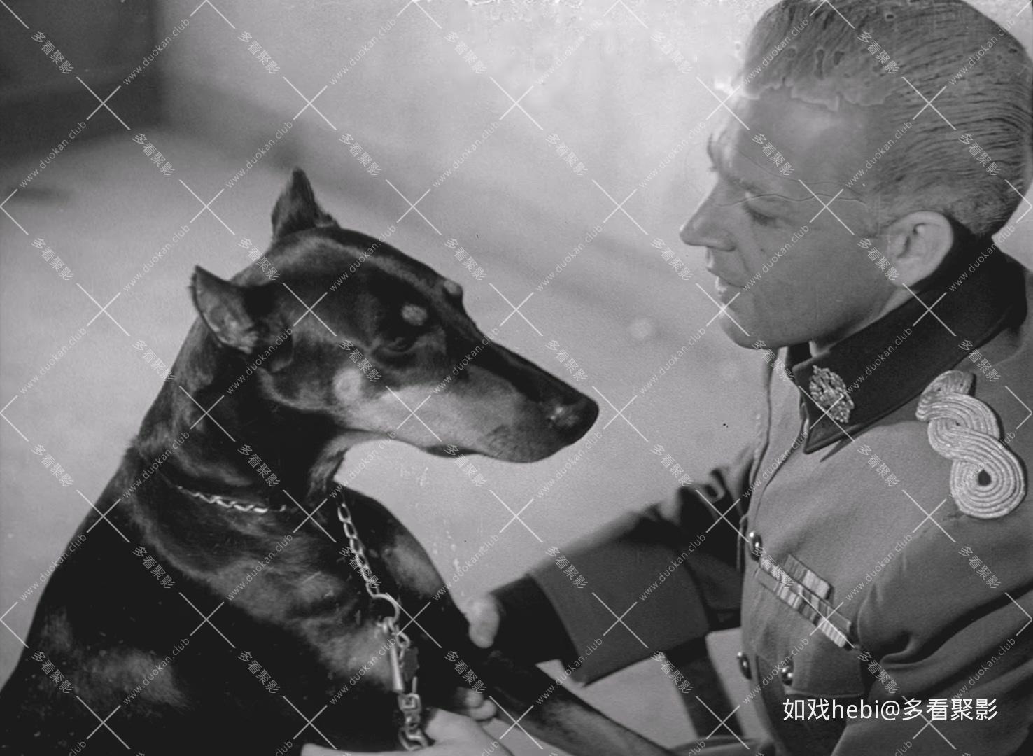 恐惧与欲望 Fear and Desire (1953).mkv_20260627_220814.707.jpg