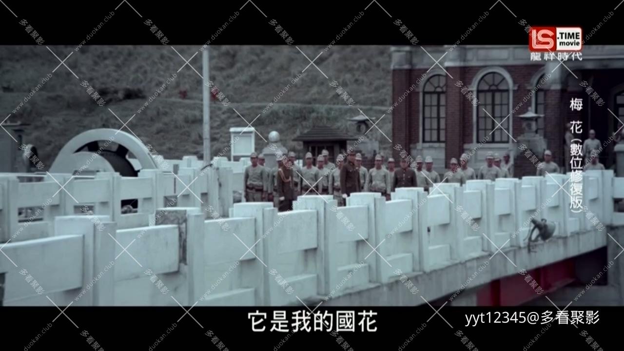 梅花.ts_20260628_143242.195.jpg