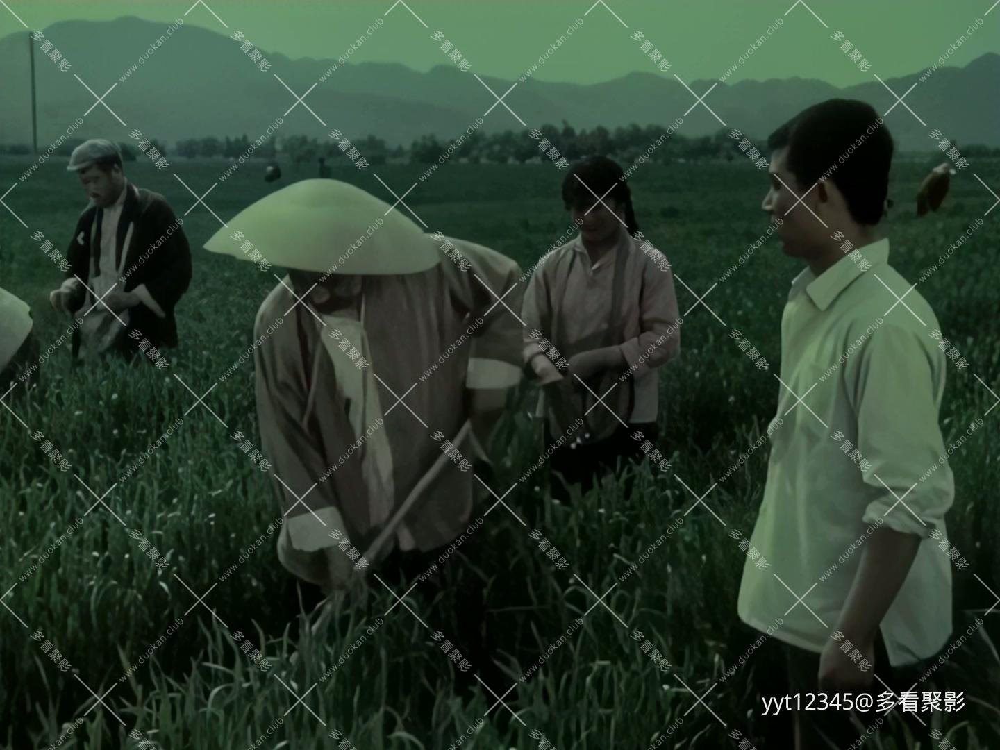 并非一个人的故事[1978] Iris2.mkv_20260628_175838.227.jpg