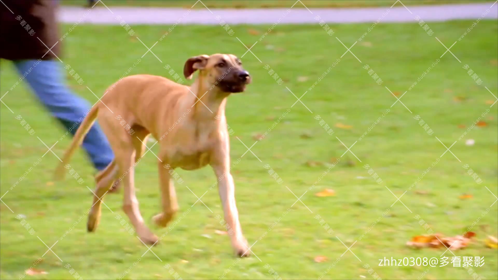 中央公园的英雄2004国语.mp4_20260701_131313849.jpg