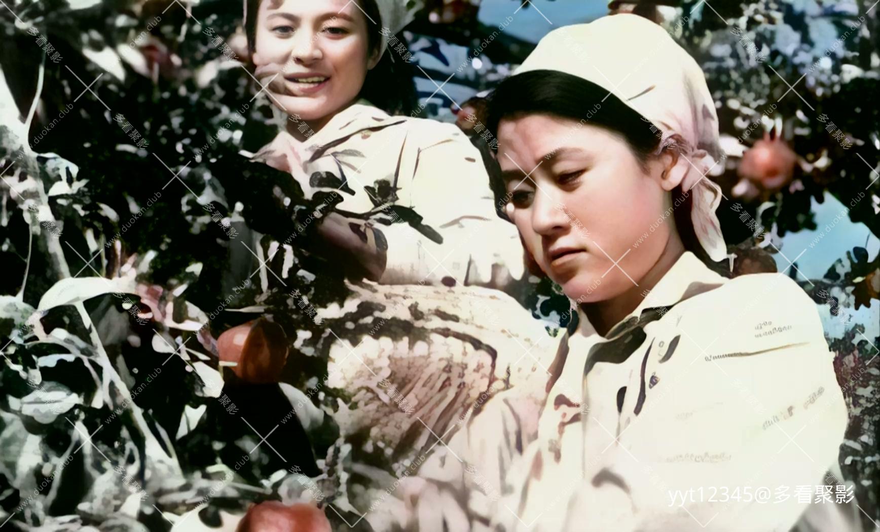 摘苹果的时候[1971] Iris2.mkv_20260701_142524.640.jpg