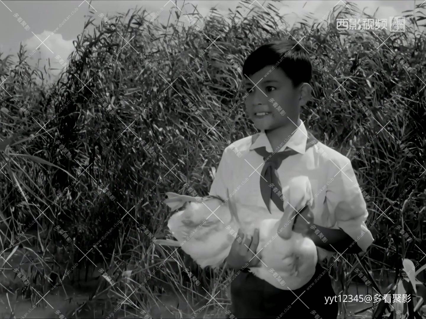 阿勇[1975].mkv_20260630_172412.188.jpg