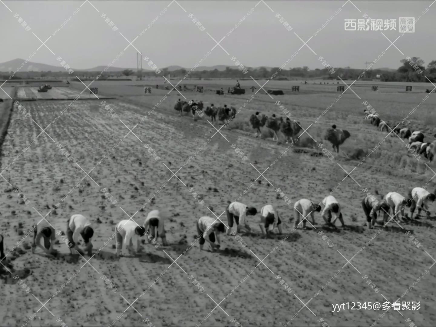 阿勇[1975].mkv_20260630_172323.524.jpg