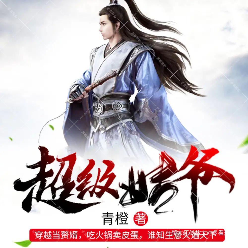 超级姑爷.jpg