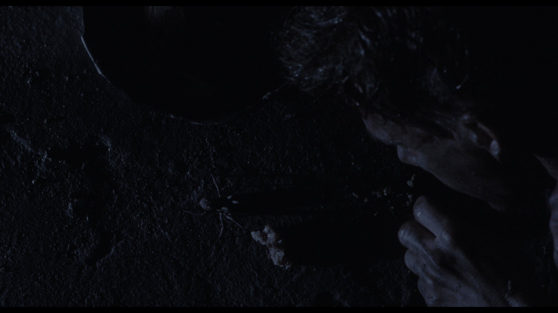 一级谋杀 (1995) [tmdb=8438].mkv_000559.538.png