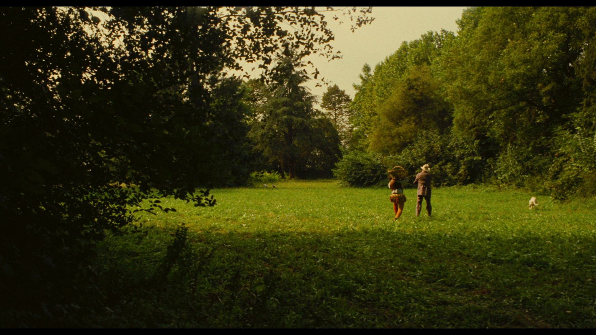 一九零零 (1976) [tmdb=3870].mkv_002035.937.png