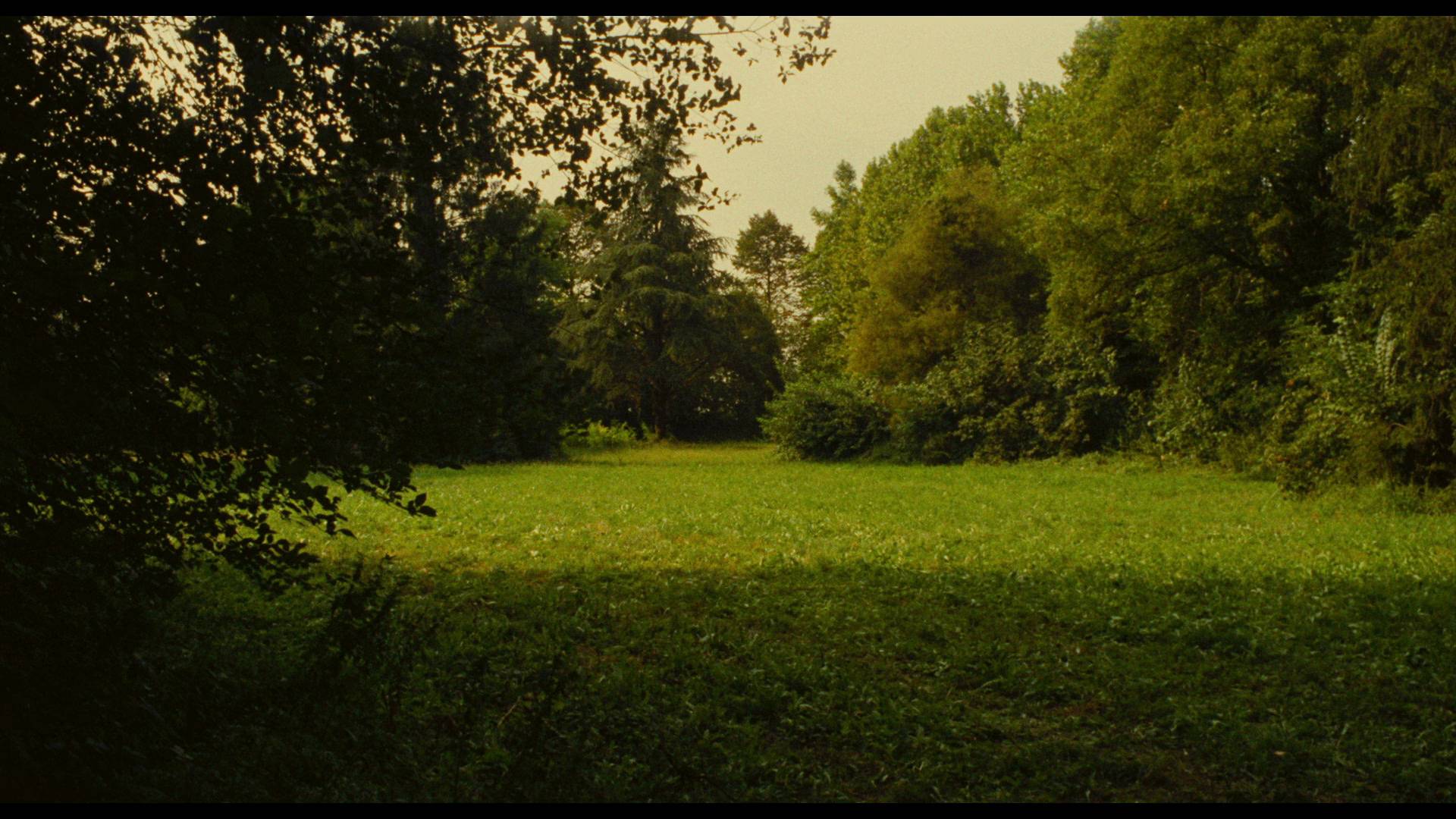 一九零零 (1976) [tmdb=3870].mkv_002043.605.png