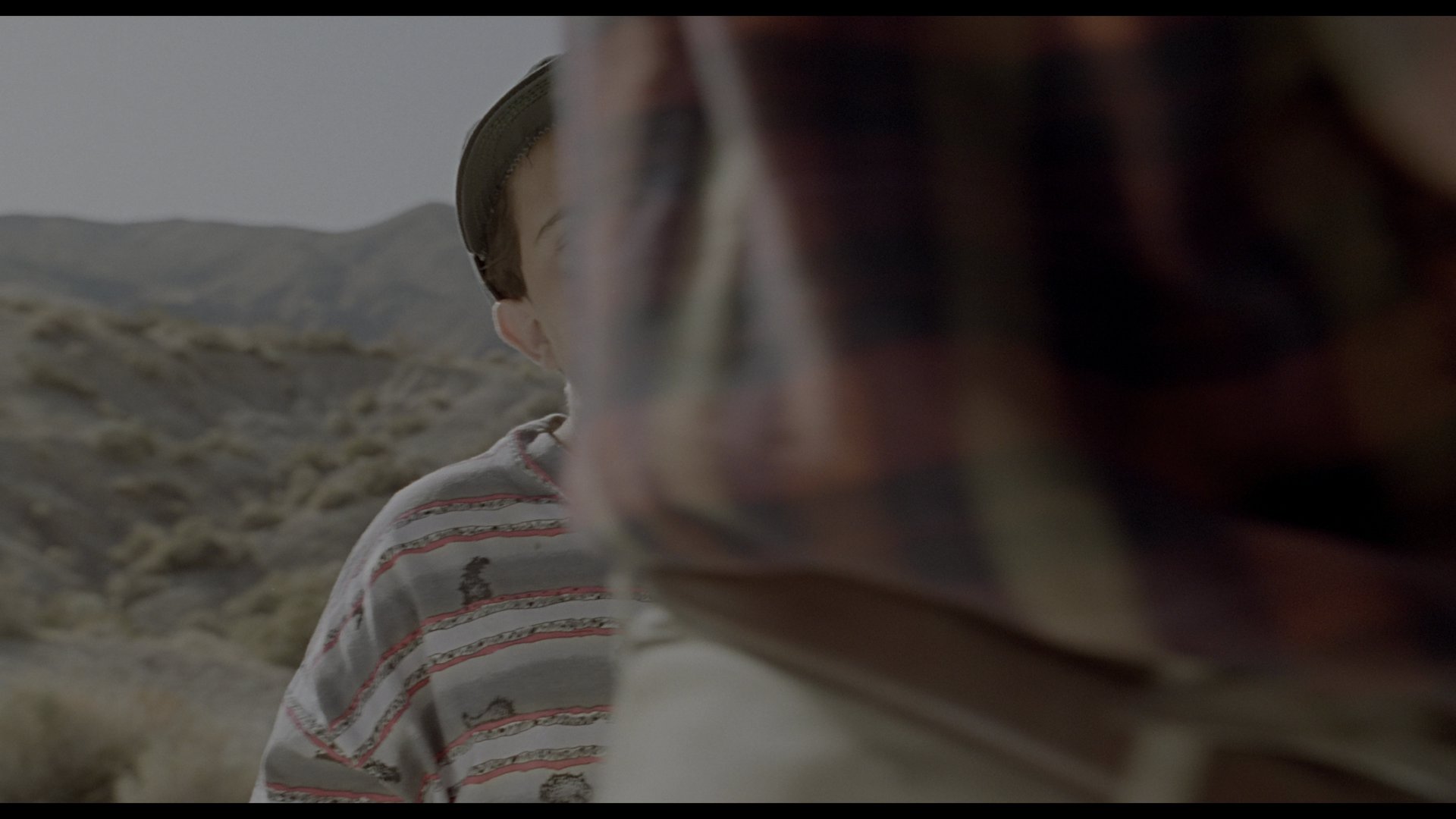 侏罗纪公园 (1993) [tmdb=329].mkv_000751.275.png