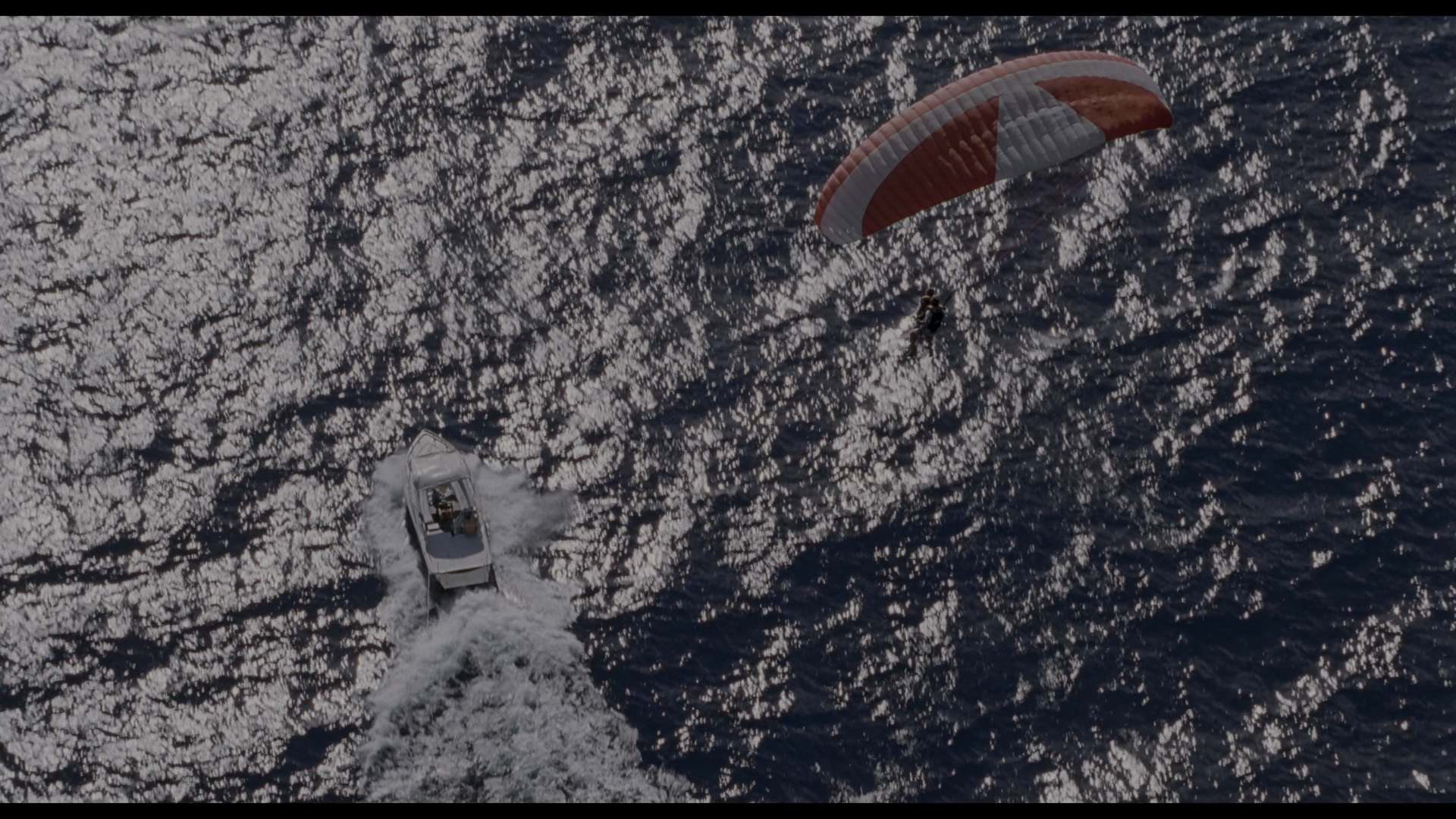 侏罗纪公园3 (2001) [tmdb=331].mkv_000220.732.png
