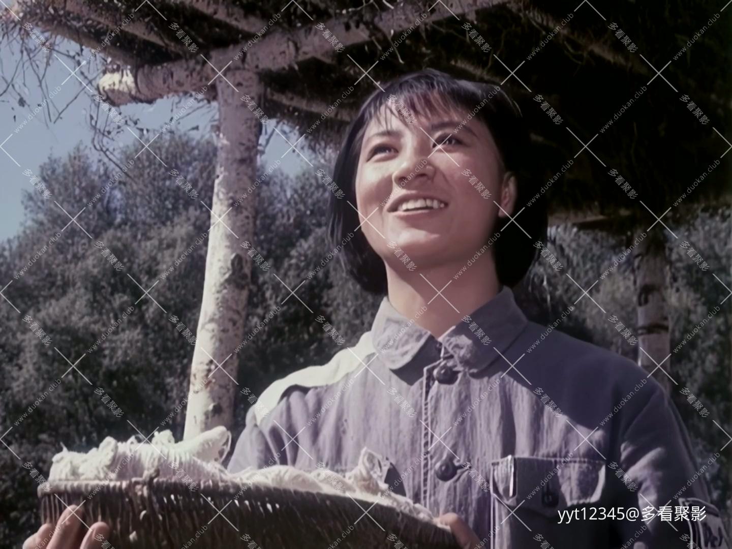 豹子湾战斗[1978] Iris2.mkv_20260707_170518.214.jpg