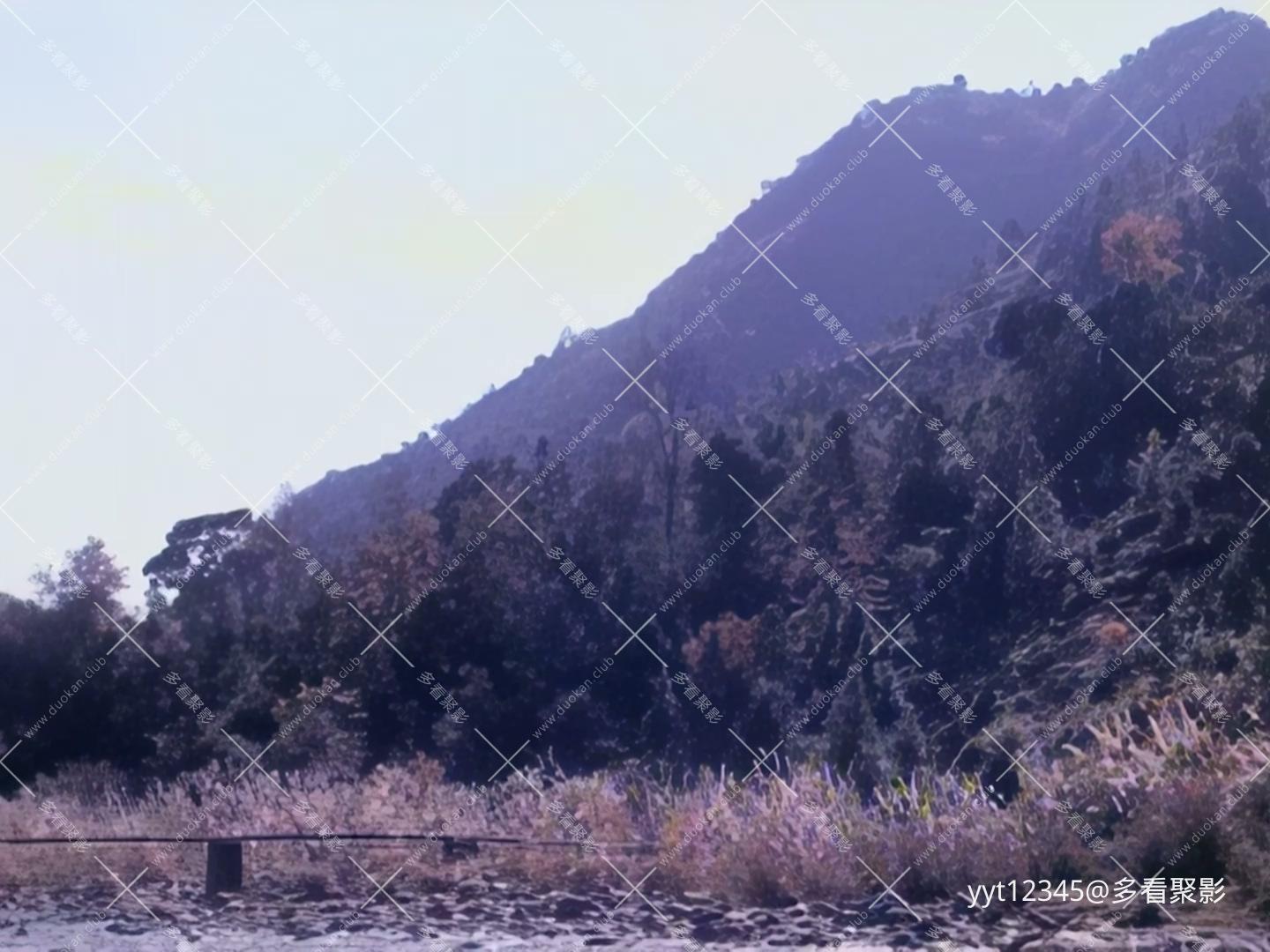 忘忧草[1982] Iris2.mkv_20260709_220823.333.jpg