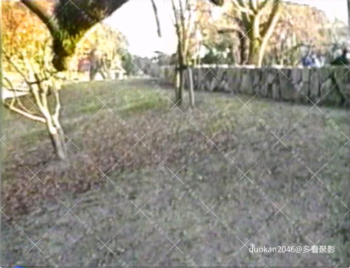December.Hide-and-Seek.1993.DVD.AC3.2.0.x264-SaL.mkv_20260712_000044.773.jpg