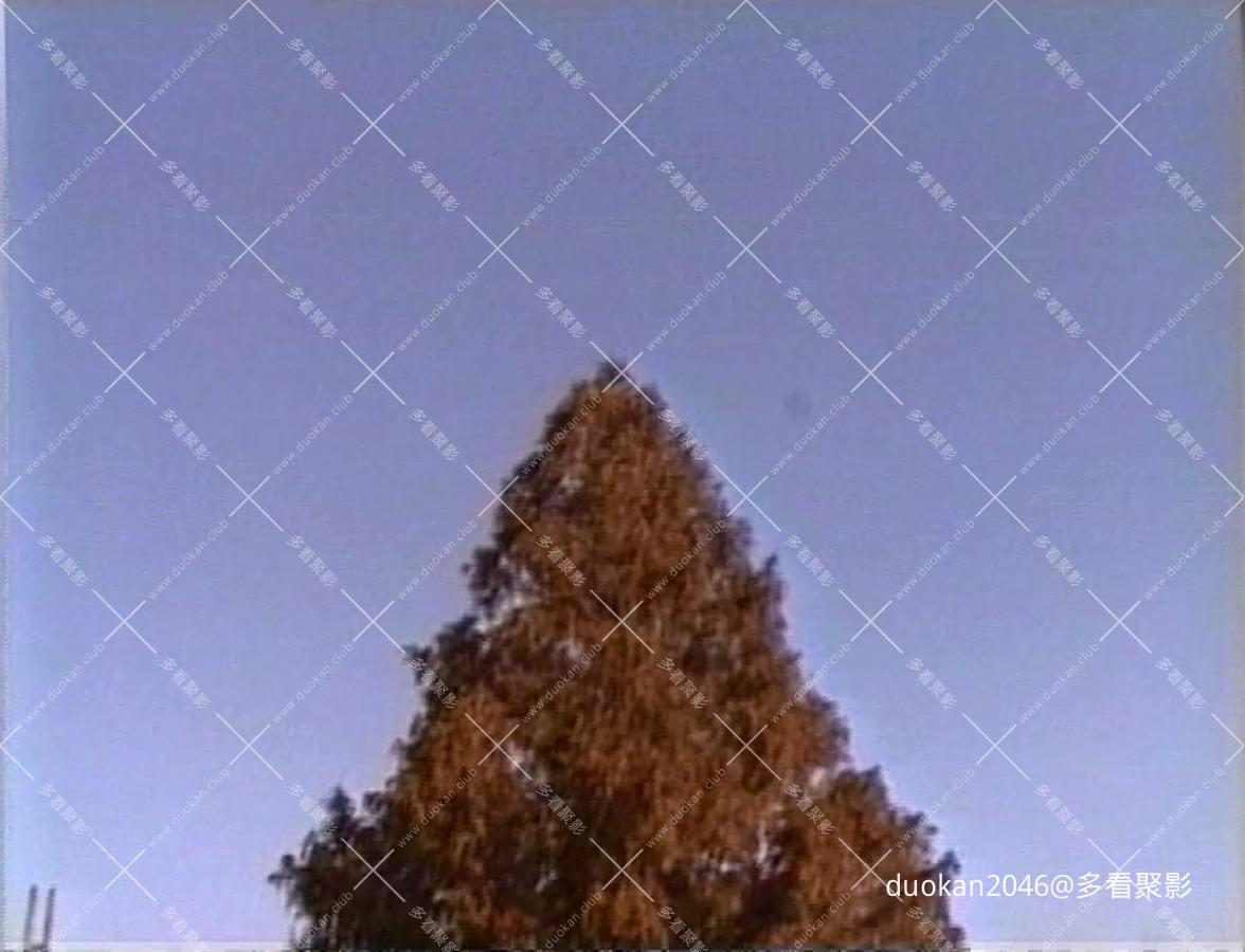 December.Hide-and-Seek.1993.DVD.AC3.2.0.x264-SaL.mkv_20260712_000111.629.jpg