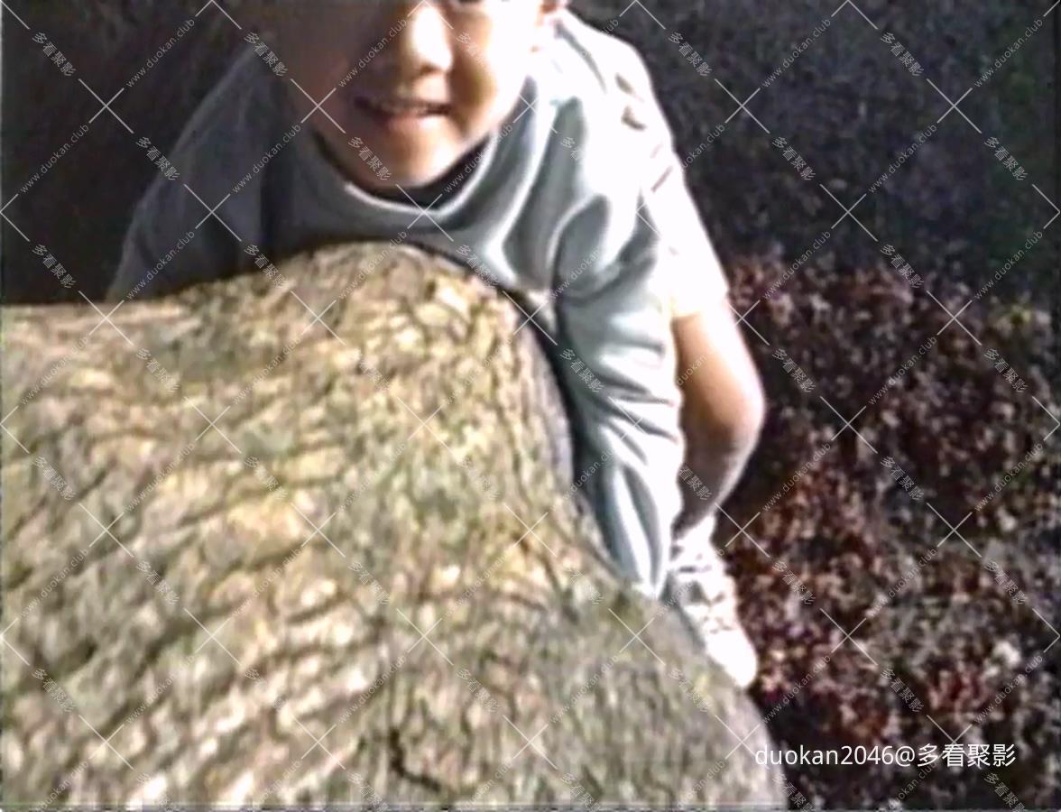 December.Hide-and-Seek.1993.DVD.AC3.2.0.x264-SaL.mkv_20260712_000126.022.jpg