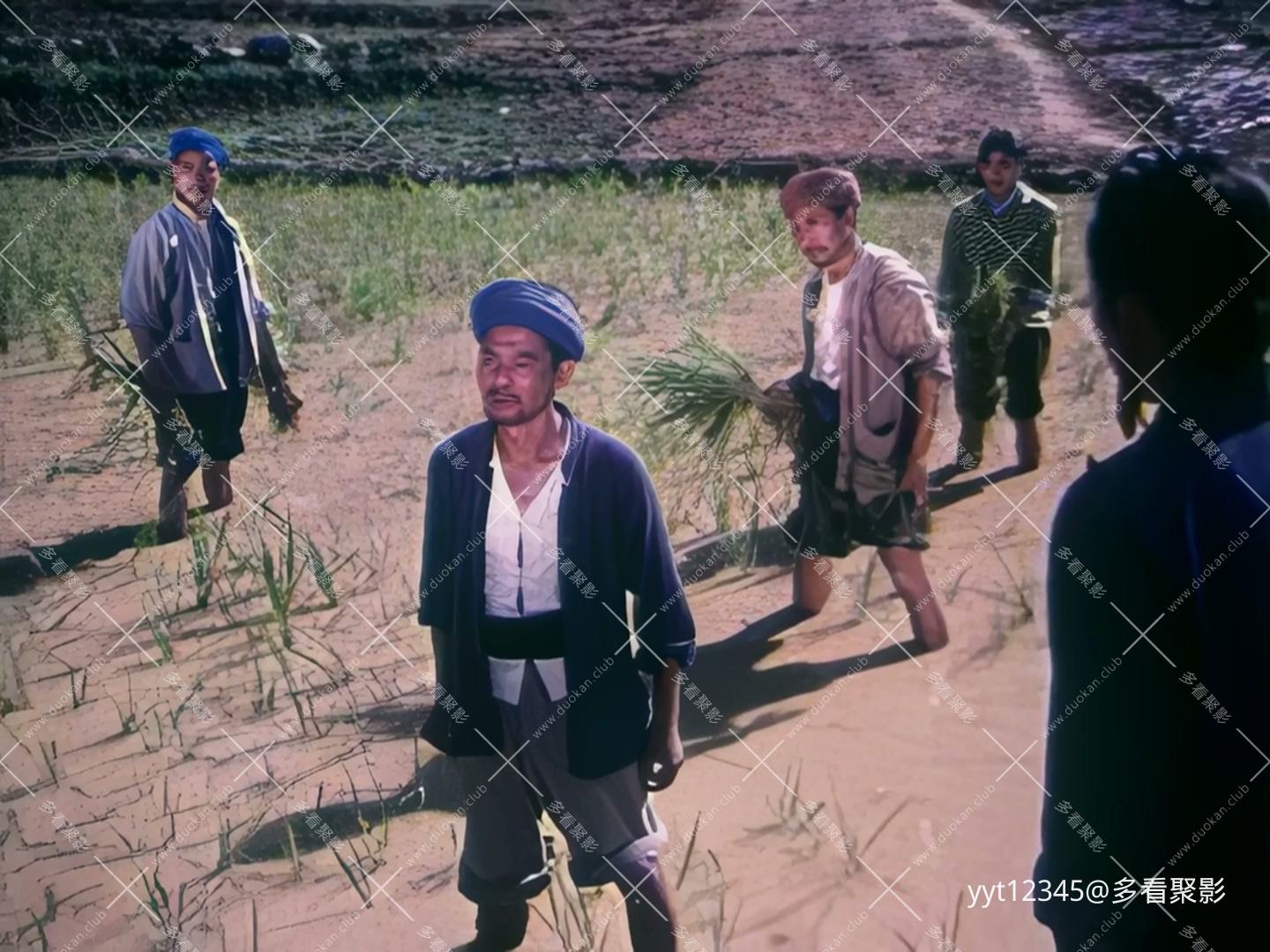 南疆春早[1978] Iris2.mkv_20260712_153435.821.jpg
