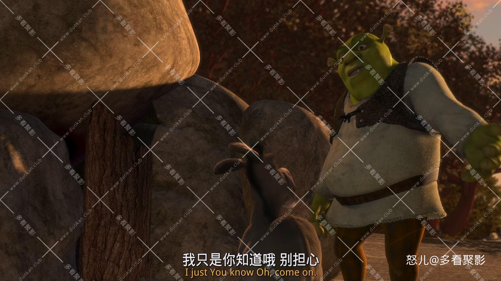 怪物史瑞克.Shrek.2001.1080p.BluRay.x265.3audio-RARBG.mkv_20260713_102054.130.jpg