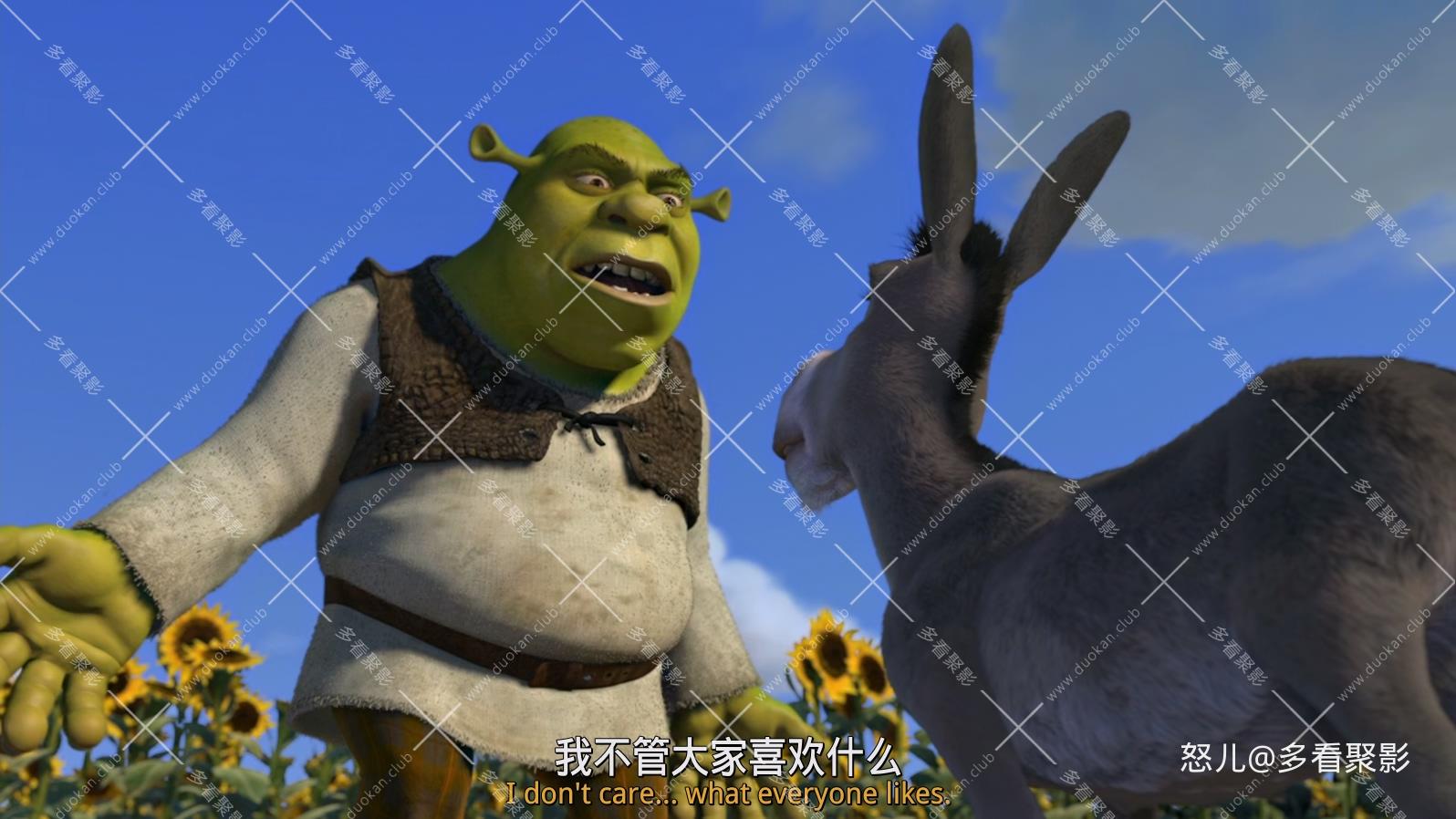 怪物史瑞克.Shrek.2001.1080p.BluRay.x265.3audio-RARBG.mkv_20260713_102048.907.jpg