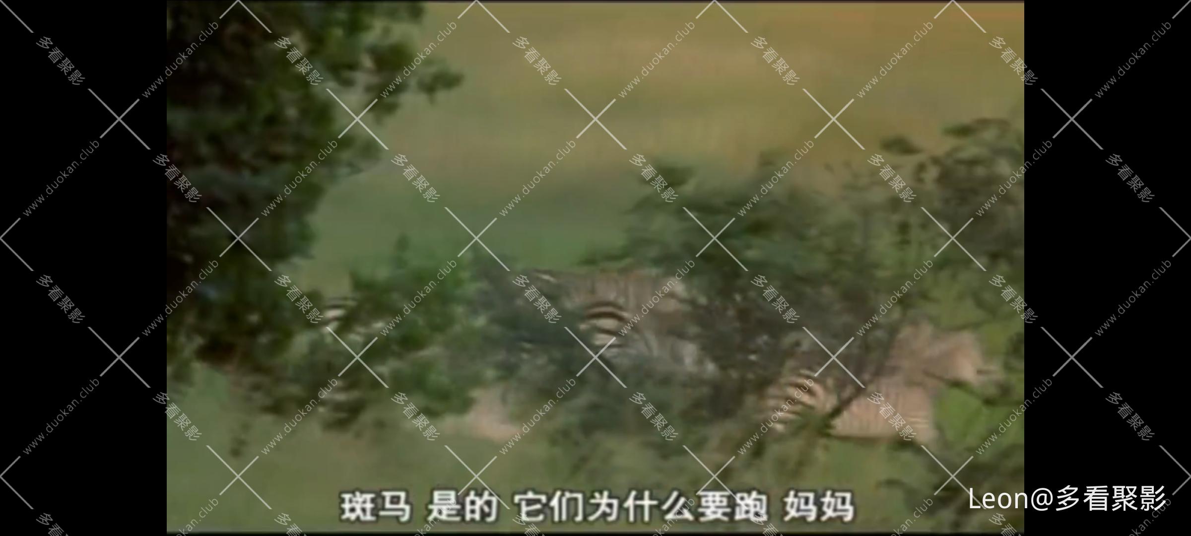 Screenshot_20260714_224936.jpg