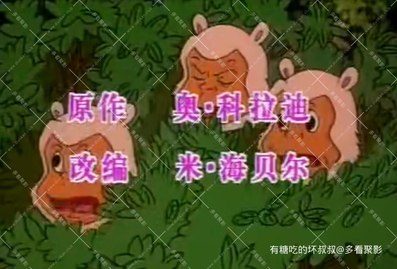 5.webp