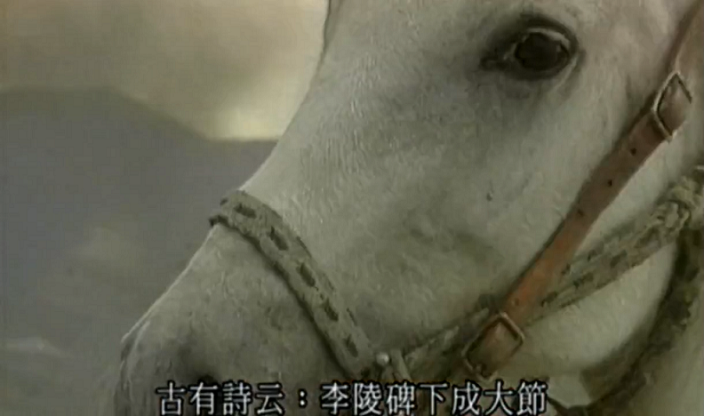 videoframe_70395.png