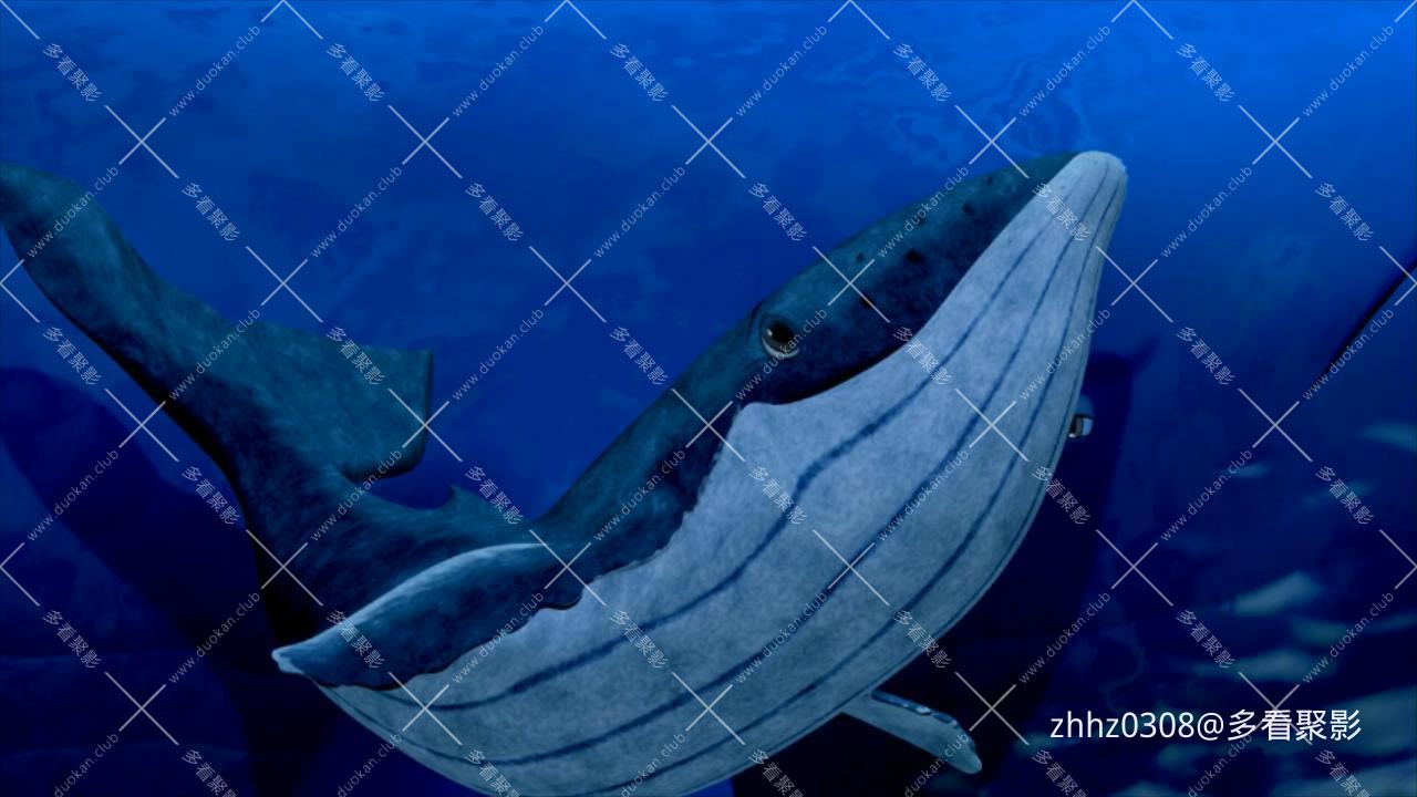 幻想曲2000.Fantasia.2000.1999.BluRay.720p.x264.AC3.3Audios-CMCT.mkv_20260715_175305648.jpg